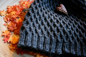 Fall Knitting Beanie